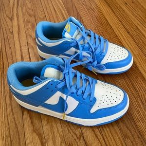 Nike Dunks in Coast
